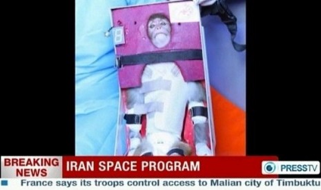 A still image from an undated video footage released on January 28, 2013 by Iran's state-run English language Press TV shows a monkey that was launched into space. 