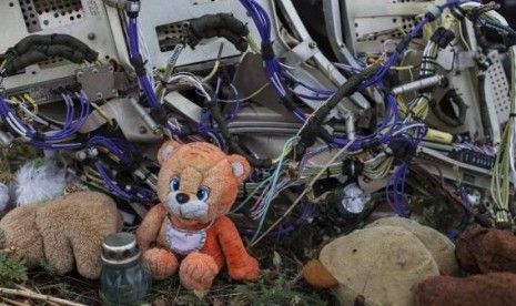 A teaddy bear is placed next to wreckage at the site of the downed Malaysia Airlines flight MH17, near the village of Hrabove (Grabovo) in Donetsk region, eastern Ukraine September 9, 2014.