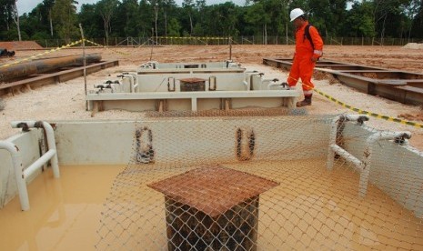 A technician checks some conductors in Bangkanai gas fired power plant in Central Kalimantan. The power plant is among a number of projects to handled by PT Pembangunan Perumahan. (file photo)