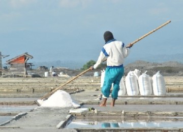 A traditional sea salt farmer harvests the salt in East Palu, Central Sulawesi, recently. (illustration)