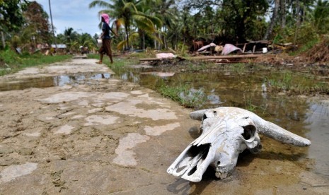 Sebuah desa di Mentawa pascabencana tsunami Oktober 2010.  