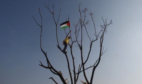 A youth waves a Palestinian flag as he climbs a tree during a rally marking the 48th anniversary of the founding of the Fatah movement, in Gaza City January 4, 2013.  Palestinian officials said Monday they will not rush to issue new passports and ID cards with the emblem 