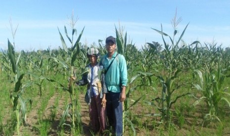 Abah Judin di tengah lahan pertaniannya.