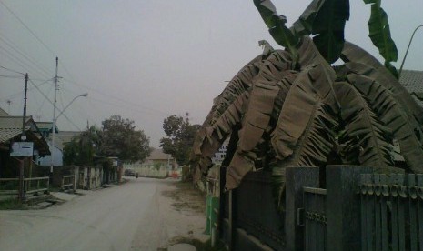 Abu vulkanik Gunung Kelud