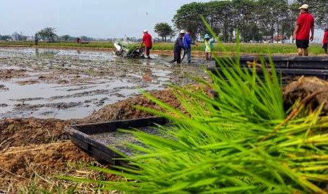 Acara bimbingan teknis (bimtek) budidaya padi kepada petani atau kelompok tani dari sebanyak 120 peserta di BB Padi Sukamandi