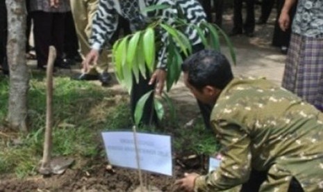 Acara penanaman pohon dalam kegiatan workhop penulisan karya ilmiah bernuansa 'go green' yang diberikan LIPI.