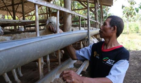 ACT mendorong masyarakat tetap berkurban di masa pandemi Covid-19 ini.