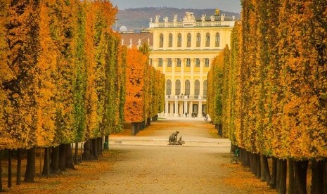 Ada hampir 2.000 pohon yang memagari istana di Wina, Austria. ini.