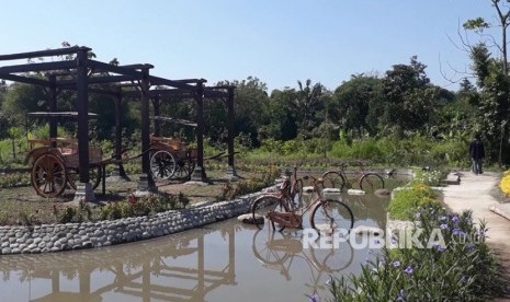 Agrowisata Kampung Flory di Dusun Jugangpangukan, Desa Tridadi, Kecamatan Sleman, Kabupaten Sleman, DIY.