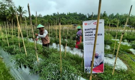 Agustiwa, salah seorang Relawan Rumah Zakat melakukan kunjungan ke tempat usaha penerima bantuan modal dan sarana usaha program UMKM padat karya Bank HSBC, Kamis (18/3).