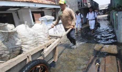 Air rob menggenangi permukiman padat penduduk di Kamal Muara, Jakarta Utara, Selasa (1/11).  (Republika/Aditya)