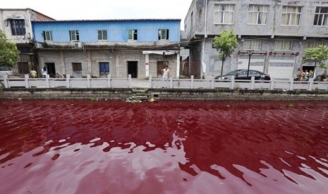 Air sungai di Desa Xinmeizhou di Provinsi Zhejiang Cina 