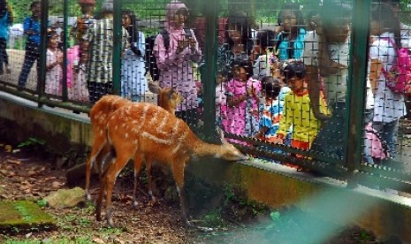 Ajak seluruh keluarga memilih tempat liburan yang akan dituju.