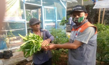 Akhirnya Kebun Gizi di Desa Berdaya Cisolok, Sukabumi bisa melakukan panen. Panen itu dilakukan dengan gembira oleh para Penerima Manfaat yang juga dimonitoring oleh Nanan, Relawan Rumah Zakat di desa tersebut.