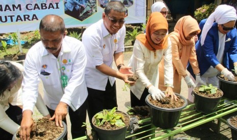 Aki gerakan tanam (gertam) cabai di Sumatera Utara