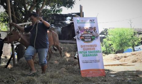 Aksi Cepat Tanggap (ACT) Solo mendistribusikan sebanyak 46 ekor sapi kurban untuk wilayah Solo Raya dalam momen Idul Adha 1422 H. 