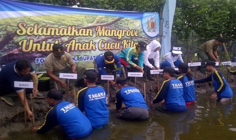 Aksi menanam pohon bakau di Tegal.