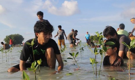 Aksi penanaman mangrove di Pulau Pari, Kepulauan Seribu, oleh forum kreativitas. 