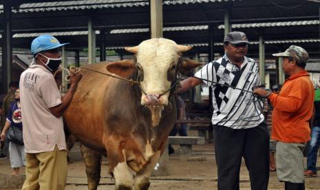 Aktivitas jual beli hewan ternak, ilustrasi. Dinas Pertanian (Distan) Kota Semarang, Jawa Tengah, memperoleh laporan dugaan enam hewan ternak yang diduga terinfeksi penyakit mulut dan kuku (PMK).