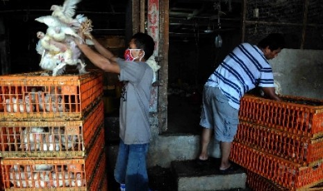 Aktivitas pedagang ayam ras di Pasar Palmerah, Jakarta, Senin (2/11).