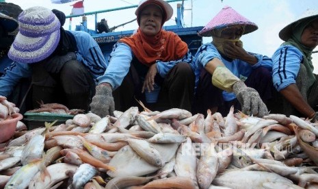 Aktivitas pekerja membongkar muat ikan hasil tangkapan nelayan di tempat pelelangan ikan (TPI)