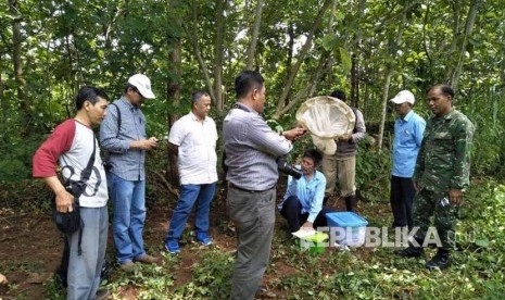 Aktivitas penelitian Fakultas Biologi Universitas Gadjah Mada (UGM) di Kecamatan Wonosari, Kabupaten Gunungkidul, DIY.   Penelitian dilakukan atas serangan ribuan belalang setan (Aularches millaris) di Dusun Karangrejek dan Dusun Baleharjo dua pekan lalu.