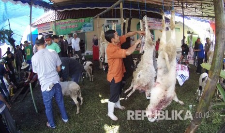 Aktivitas pengurusan hewan kurban, di Lembang, Kabupaten Bandung Barat, Senin (12/9). (Republika/Edi Yusuf)