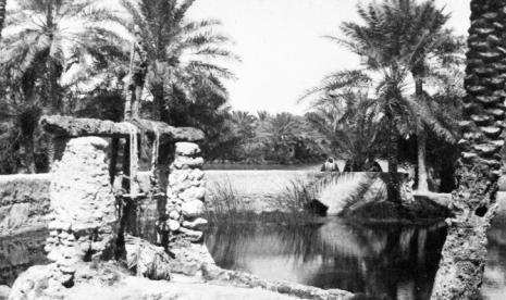 Al Ahsa dan Sejarah Oasis Kunonya