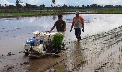 Syahrul Minta Petani Padi Pakai Alsintan Teknologi Tinggi Republika Online