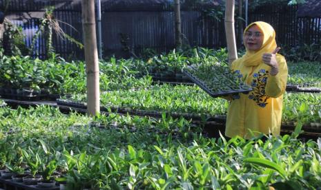 Alumnus UMM Nandia Anindhita yang memiliki usaha tanaman hias meraup untung di tengah pandemi.