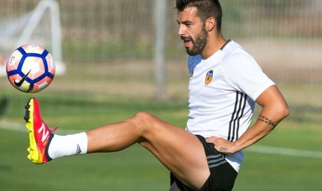 Alvaro Negredo