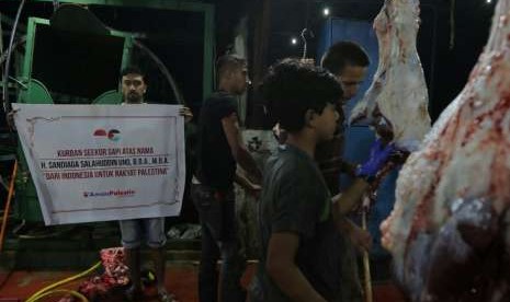  Aman Palestin Indonesia menyalurkan 357 ekor sapi dan 1.277 ekor kambing ke Palestina dan Suriah dalam kurban 1439 Hijriah.