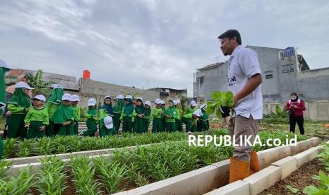 Anak-anak dari TK Islam Nuryakin Pasar Minggu, diajak untuk belajar bertani di Jatipadang Farm.