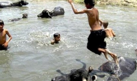 Anak-anak di India berendam di sungai untuk meredakan serangan udara panas