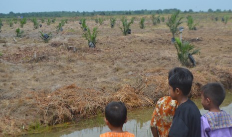 Anak-anak melihat lahan yang baru pertama kali ditanam sawit di Desa Air Kumbang Bakti, Kecamatan Air Kumbang, Kabupaten Banyuasin, Sumatra Selatan, Senin (15/10).