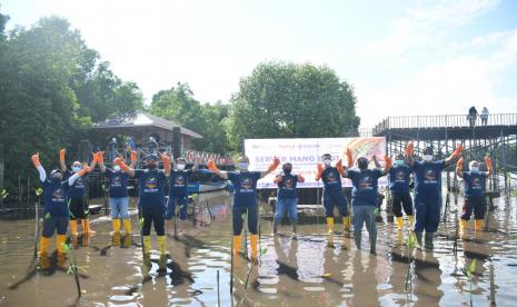 Anak usaha PT Pupuk Indonesia (Persero), Pupuk Kaltim, terus mengembangkan Program Diversifikasi Mangrove dan Budidaya Kepiting atau Server Mang Budi di Kawasan Telok Bangko Kelurahan Loktuan, Kota Bontang, Provinsi Kalimatan Timur