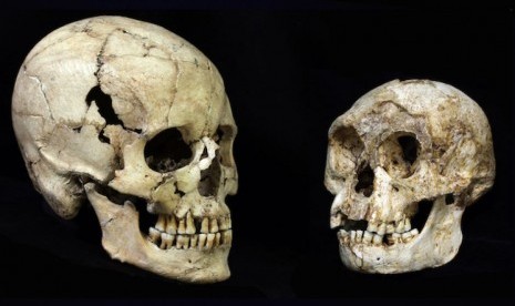 Analisis gigi mengindikasikan Homo floresiensis alias ‘hobbit’ bukanlah manusia modern dengan ukuran yang lebih kecil. 