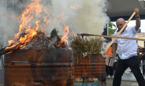 Direktorat Reserse Narkoba Polda Kepulauan Riau (Kepri) memusnahkan barang bukti narkoba jenis ganja seberat 2,1 kilogram dari dua laporan polisi periode April 2022, Senin (4/4/2022).