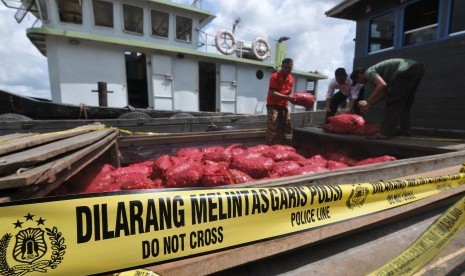 Bawang merah selundupan, ilustrasi