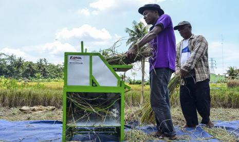 Petani merontokkan padi (ilustrasi). Pemerintah Provinsi Sulawesi Tengah menyalurkan 33 unit alat mesin pertanian (alsintan) jenis combine harvester atau mesin perontok padi untuk petani di daerah itu.