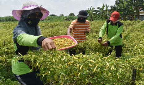 Sebagai upaya memperkuat program Agro-Solution, PT Pupuk Indonesia (Persero) menjalin sinergi dengan Perum Bulog. Kerja sama tersebut ditandai dengan penandatangan Nota Kesepahaman kedua belah pihak yang dilakukan langsung oleh Direktur Utama Pupuk Indonesia Achmad Bakir Pasaman dengan Direktur Utama Perum Bulog Budi Waseso di Jakarta, Selasa (12/01).