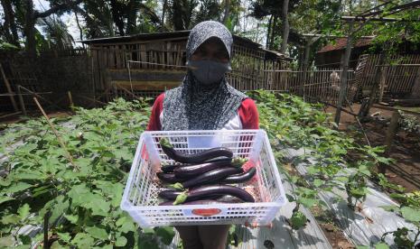 Pemkot Surabaya Dorong Pembentukan Kelompok Wanita Tani (ilustrasi).