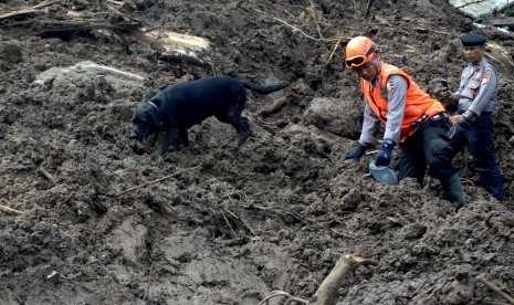 Anggota Kepolisian bersama anjing pelacak mencari korban yang tertimbun tanah longsordi Desa Pattalikang, Kecamatan Manuju, Kabupaten Gowa, Sulawesi Selatan, Sabtu (26/1/2019). 