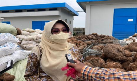 Anggota Komisi IV DPR RI, Ema Umiyyatul Chusnah mendorong budidaya tanaman porang di Provinsi Jawa Timur semakin menggeliat. 