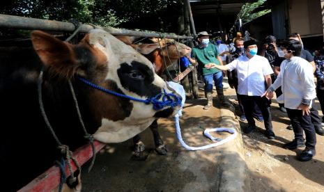 Anggota Komisi XI DPR RI dari Fraksi Gerindra Kamrussamad mengatakan, pembagian daging kurban di tengah pandemi sangat membantu masyarakat. 