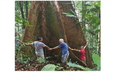 Adat Dayak di Gunung Sawaan Destinasi Wisata Tanah Bumbu (ilustrasi).