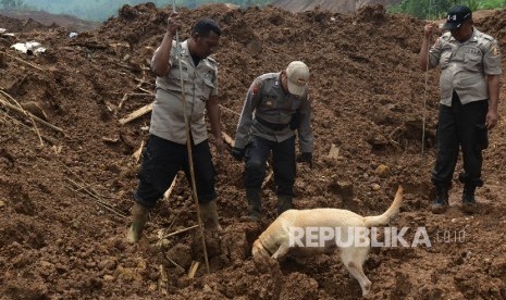 Anggota Polisi Satwa unit K-9 dari Mabes Polri membantu proses pencarian korban longsor yang terjadi di Desa Banaran, Kecamatan Pulung, Kabupaten Ponorogo, Jawa Timur, Kamis (6/4).