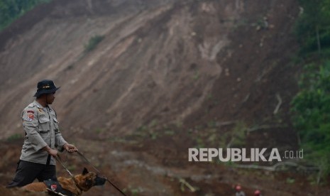 Anggota Polisi Satwa unit K-9 dari Mabes Polri membantu proses pencarian korban longsor yang terjadi di Desa Banaran, Kecamatan Pulung, Kabupaten Ponorogo, Jawa Timur, Kamis (6/4).