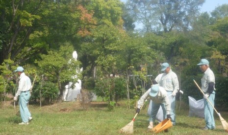 Anggota 'Sakai Silver Center' bekerja membersihkan Taman Daisen, Sakai, Jepang, Jumat (10/10).