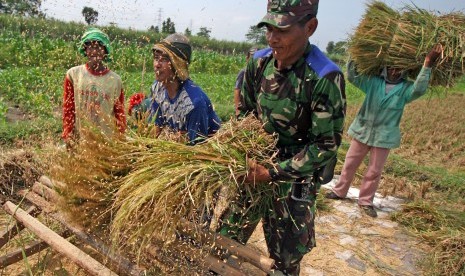 Anggota TNI dari Koramil Ngasem berbaur dengan buruh tani memanen padi di area persawahan Desa Paron, Kediri, Jawa Timur, Jumat (31/3).